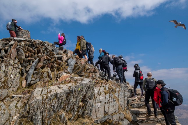 A line of people queueing to reach the summit of Snowdon, Wales' highest mountain. There are about 12 climbers, and a bird is flying overhead.