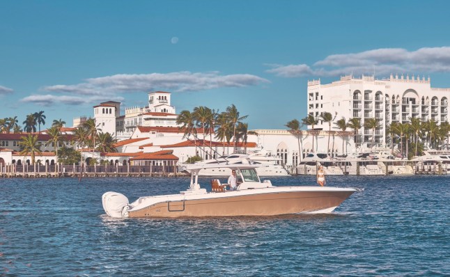 A sunny view of a white sailboat on the water in Florida's Palm Beaches, with palm trees and buildings along the shore.